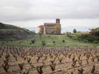 Vinedos-2-bodega-lopez-haro-la-rioja