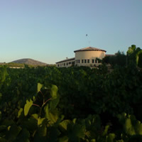 Vinedos-3-bodegas-mainetes-albacete