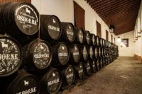 Visita-1-bodega-osborne-cadiz