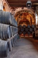 Visita-10-bodega-osborne-cadiz