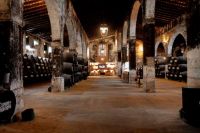 Visita-14-bodega-osborne-cadiz