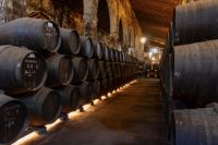 Visita-3-bodega-osborne-cadiz