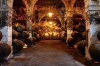 Visita-6-bodega-osborne-cadiz