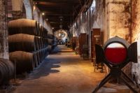 Visita-7-bodega-osborne-cadiz