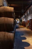 Visita-9-bodega-osborne-cadiz