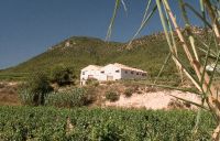 Visita-bodega-balcona-bullas-009