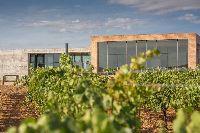 Visita-bodega-finca-montepedroso-002