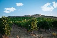 Visita-bodega-finca-montepedroso-007