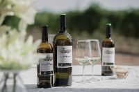 Visita-bodega-finca-montepedroso-010