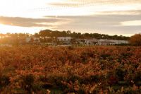 Visita-bodega-vina-pedrosa-burgos-001