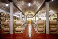 Visita-bodega-vina-pedrosa-burgos-004