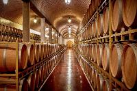 Visita-bodega-vina-pedrosa-burgos-007