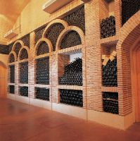 Visita-bodega-vina-pedrosa-burgos-013