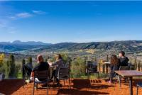 Vistas-finca-1-almazara-la-organic-ronda-malaga